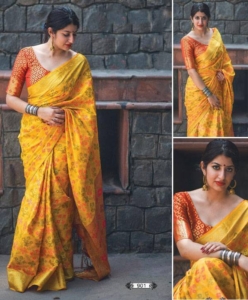 Patola saree with contrast pallu and brocade blouse piece
