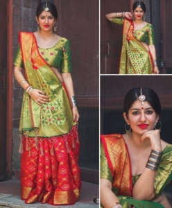 Patola saree with contrast pallu and brocade blouse piece