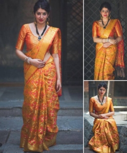 Patola Saree with contrast pallu - orange