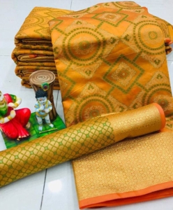 Banarasi patola saree