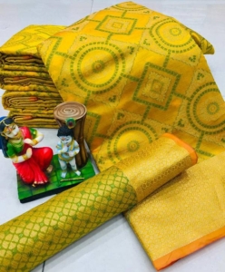 Banarasi patola saree