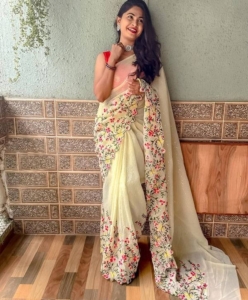 Chikankari lucknowi embroidery saree