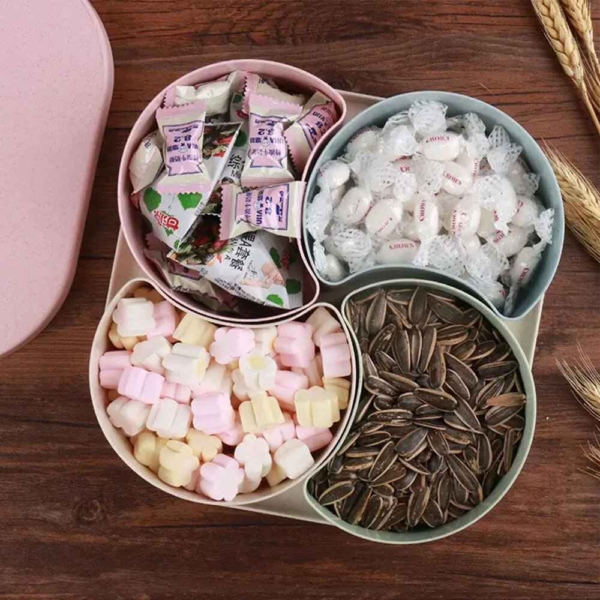 Divided dryfruits Plate